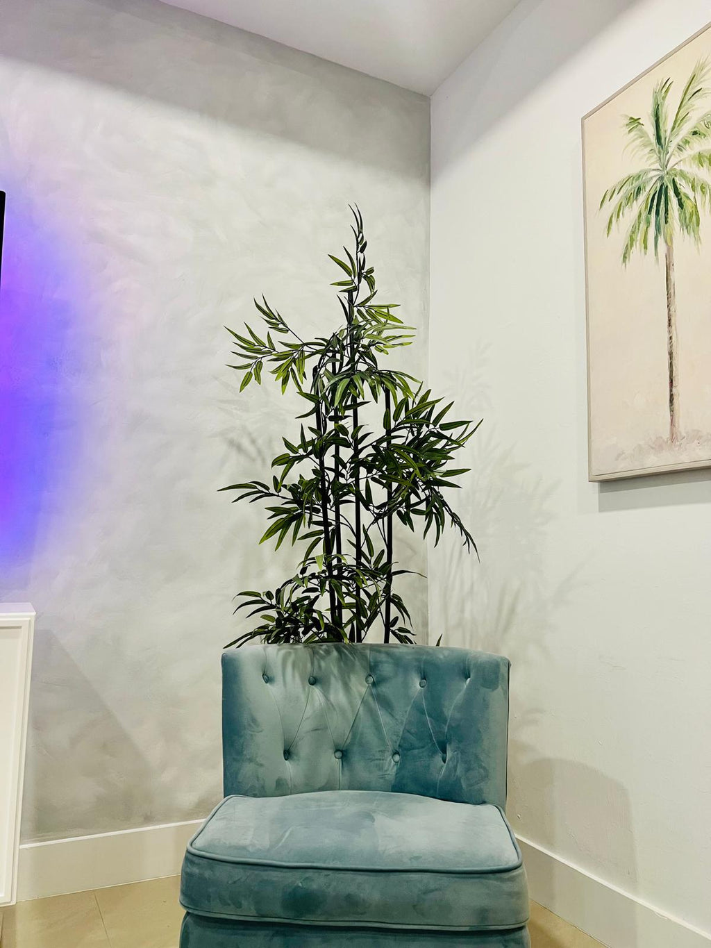 Roman Clay: El Secreto de los Diseñadores para Espacios Sofisticados