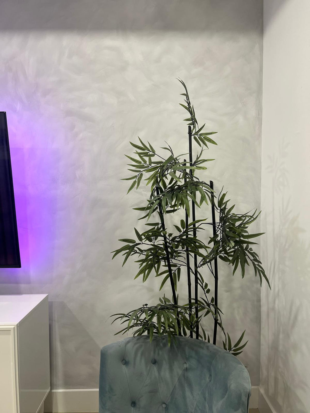 Roman Clay: El Secreto de los Diseñadores para Espacios Sofisticados